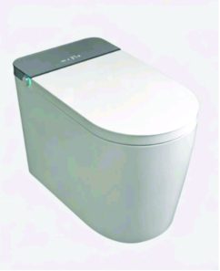 Electric commode
